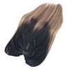 #120 Glow Balayage